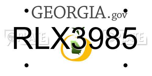 RLX3985 Georgia License Plate