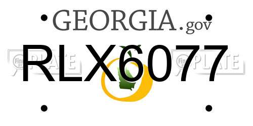 RLX6077 Georgia License Plate