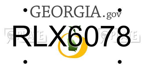 RLX6078 Georgia License Plate