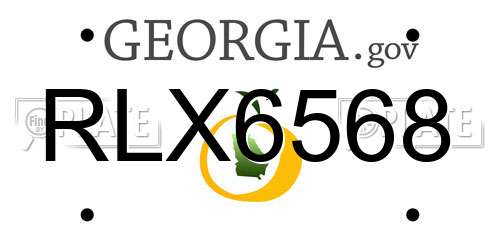 RLX6568 Georgia License Plate