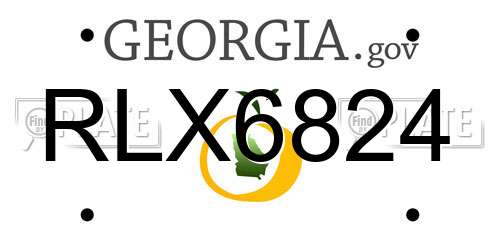 RLX6824 Georgia License Plate
