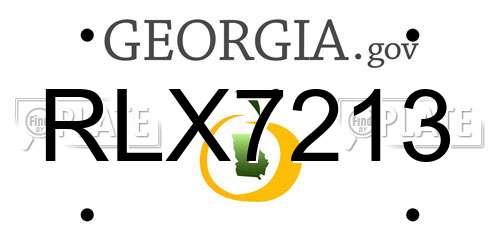 RLX7213 Georgia License Plate