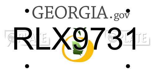 RLX9731 Georgia License Plate