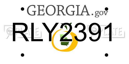 RLY2391 Georgia License Plate