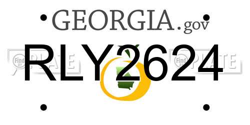 RLY2624 Georgia License Plate