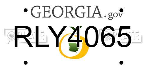 RLY4065 Georgia License Plate