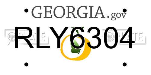 RLY6304 Georgia License Plate