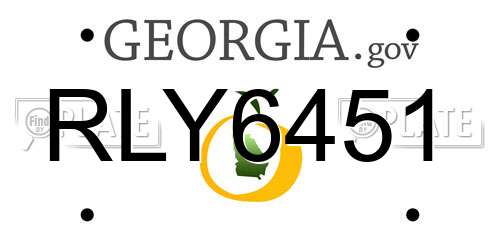 RLY6451 Georgia License Plate