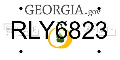 RLY6823 Georgia License Plate