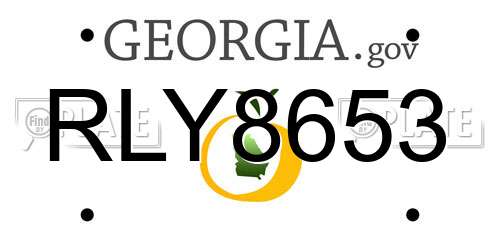RLY8653 Georgia License Plate