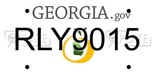 RLY9015 Georgia License Plate