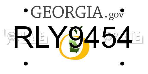 RLY9454 Georgia License Plate