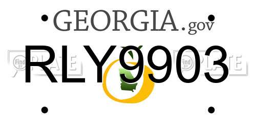 RLY9903 Georgia License Plate