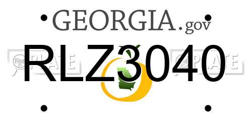 RLZ3040 Georgia License Plate