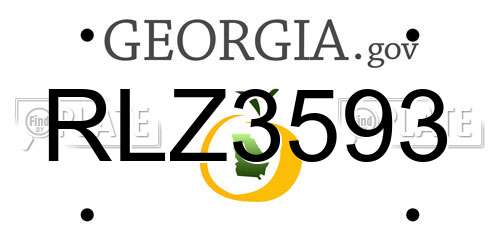 RLZ3593 Georgia License Plate