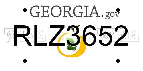 RLZ3652 Georgia License Plate