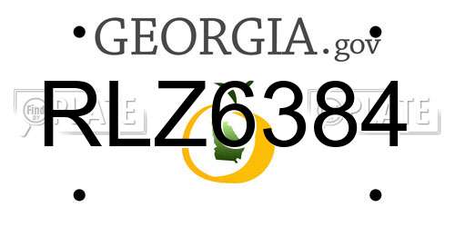 RLZ6384 Georgia License Plate