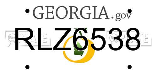 RLZ6538 Georgia License Plate
