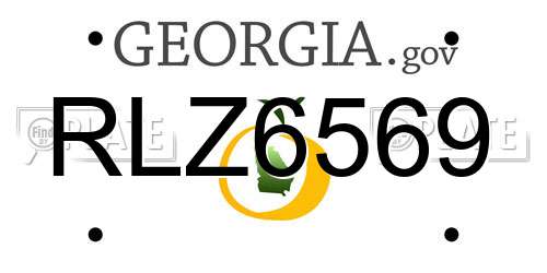 RLZ6569 Georgia License Plate