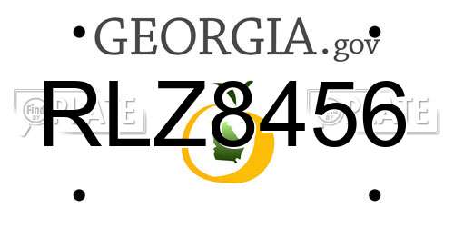 RLZ8456 Georgia License Plate