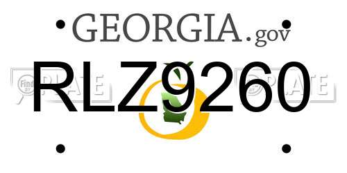 RLZ9260 Georgia License Plate