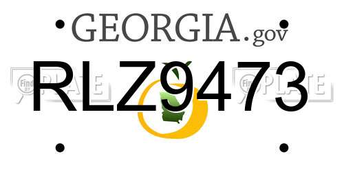 RLZ9473 Georgia License Plate
