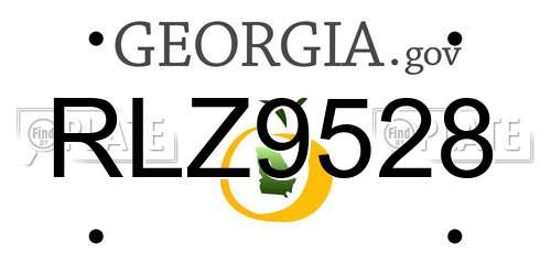 RLZ9528 Georgia License Plate