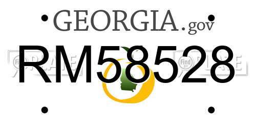 RM58528 Georgia License Plate