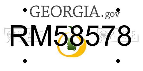 RM58578 Georgia License Plate