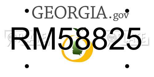 RM58825 Georgia License Plate