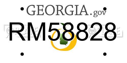RM58828 Georgia License Plate