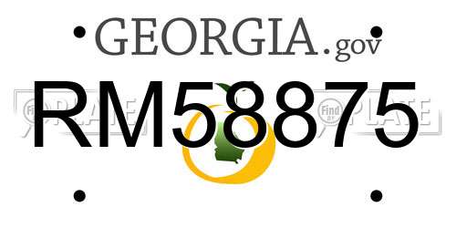 RM58875 Georgia License Plate