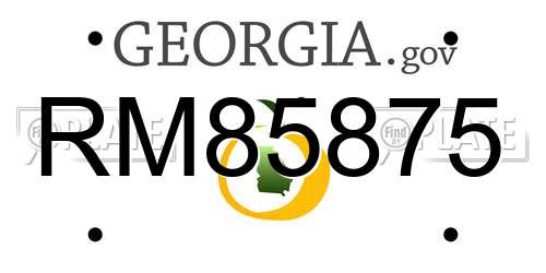 RM85875 Georgia License Plate