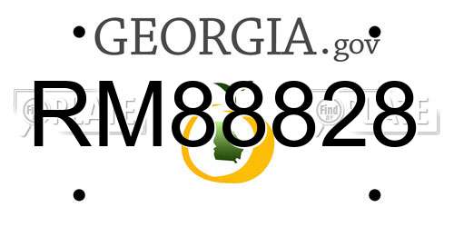 RM88828 Georgia License Plate