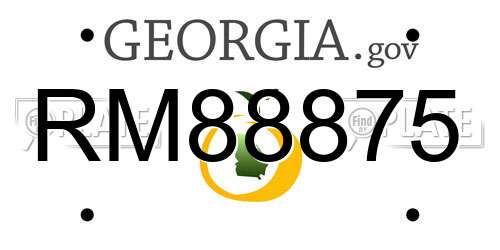 RM88875 Georgia License Plate
