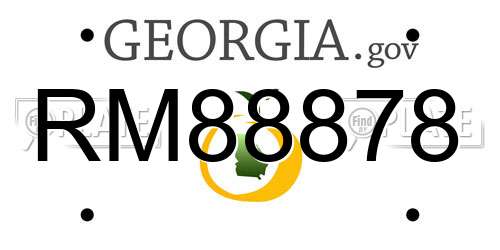 RM88878 Georgia License Plate