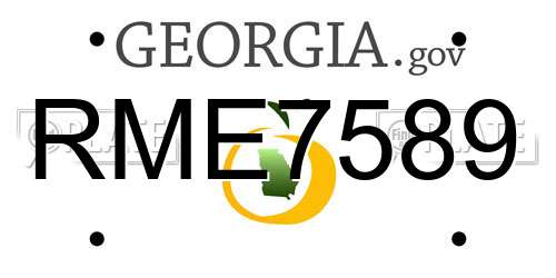 RME7589 Georgia License Plate
