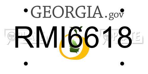 RMI6618 Georgia License Plate