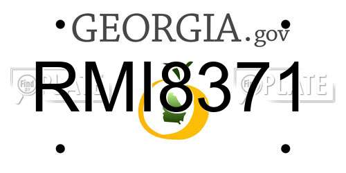 RMI8371 Georgia License Plate