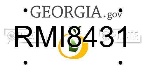 RMI8431 Georgia License Plate