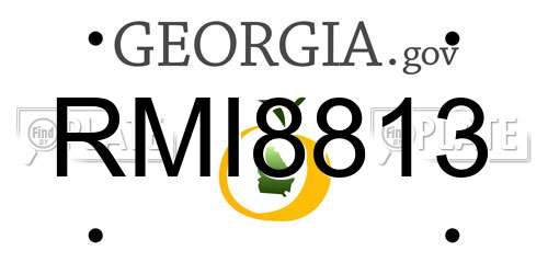 RMI8813 Georgia License Plate