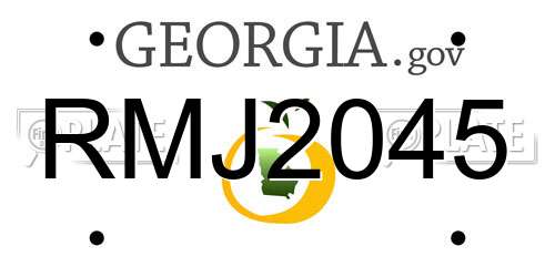 RMJ2045 Georgia License Plate