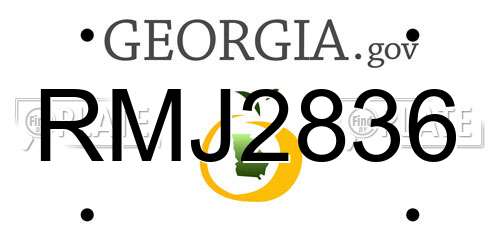RMJ2836 Georgia License Plate