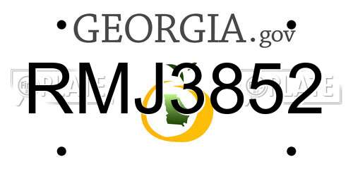 RMJ3852 Georgia License Plate