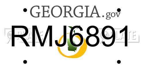 RMJ6891 Georgia License Plate