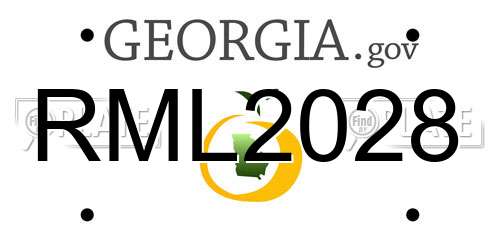 RML2028 Georgia License Plate