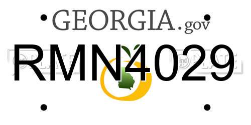 RMN4029 Georgia License Plate