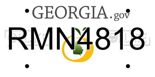 RMN4818 Georgia License Plate