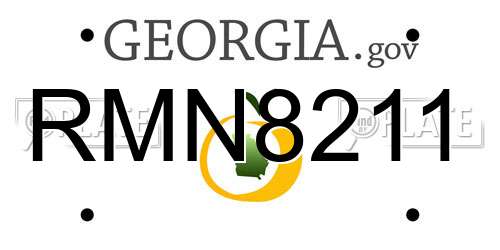 RMN8211 Georgia License Plate