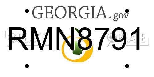 RMN8791 Georgia License Plate